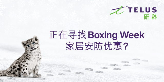 打卡圣山滑雪场：出师未捷裆先裂，骚和帅第一次和谐了