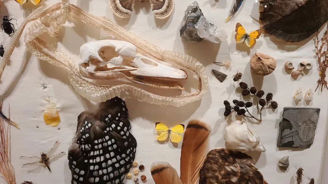 实拍皇家博物馆：打开冬天溜娃的正经方式，不会冻出忧伤！