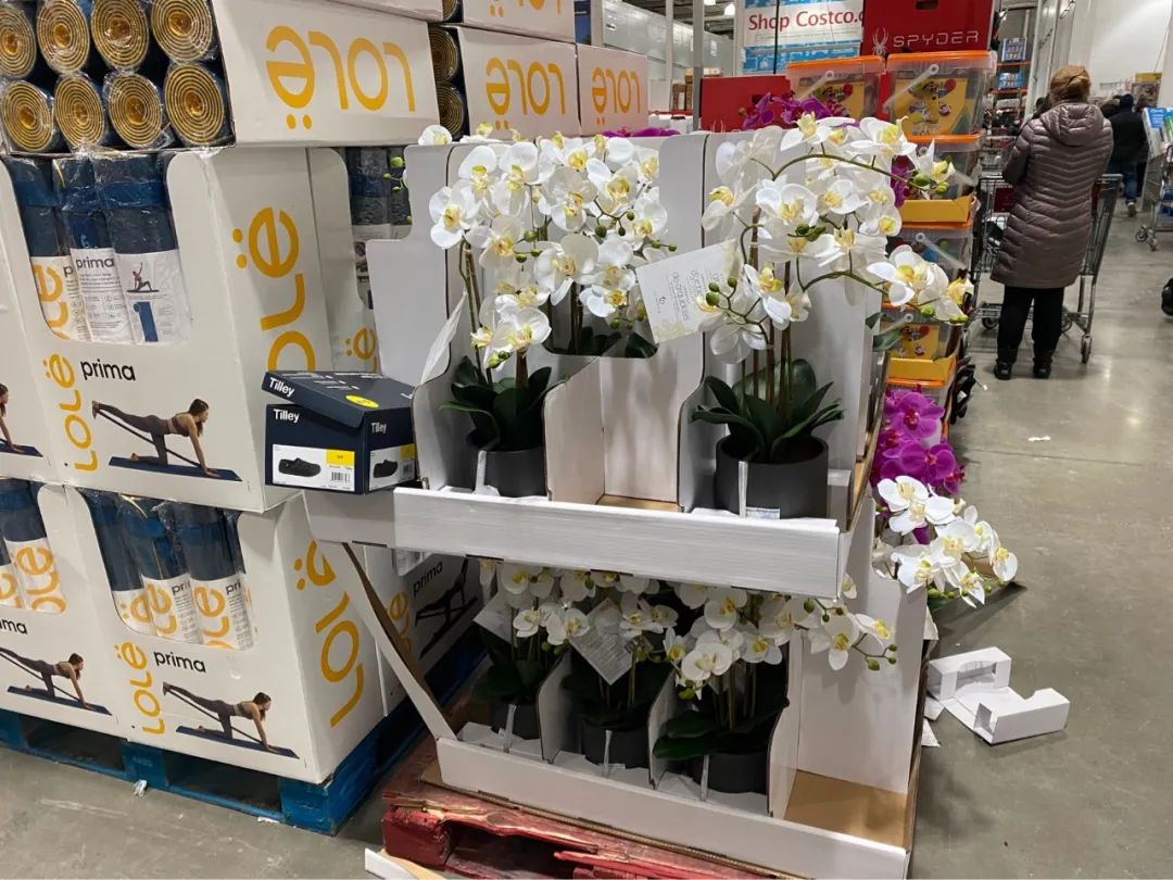 Costco本周门店实拍：2022财源滚滚，我已经完成了四分之三