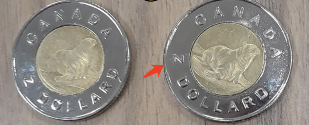 安省警局：这种2刀硬币是假的！这也假的太不走心了吧....