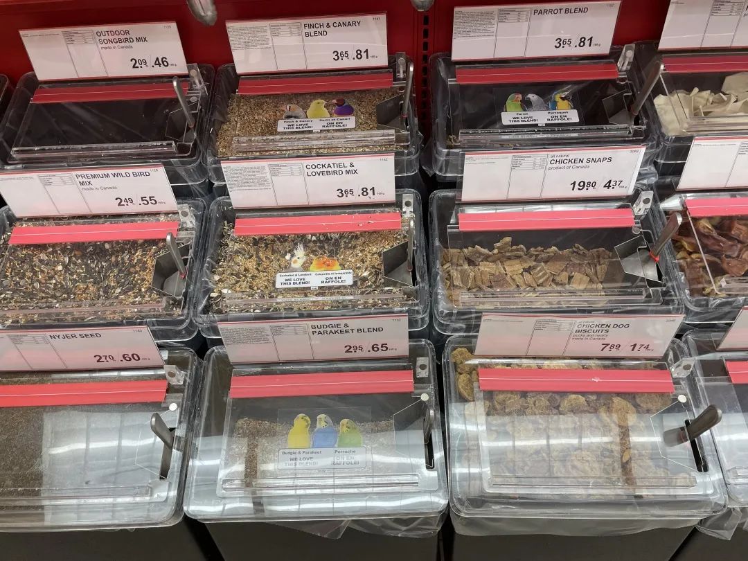 沉浸式逛粮食店:居家小能手花式囤粮一定要去逛bulk barn! 沉浸式逛粮食店:居家小能手花式囤粮一定要去逛bulk barn!