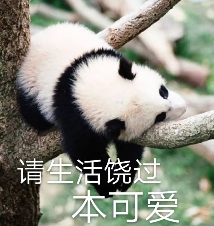 Costco本周门店实拍：2022财源滚滚，我已经完成了四分之三