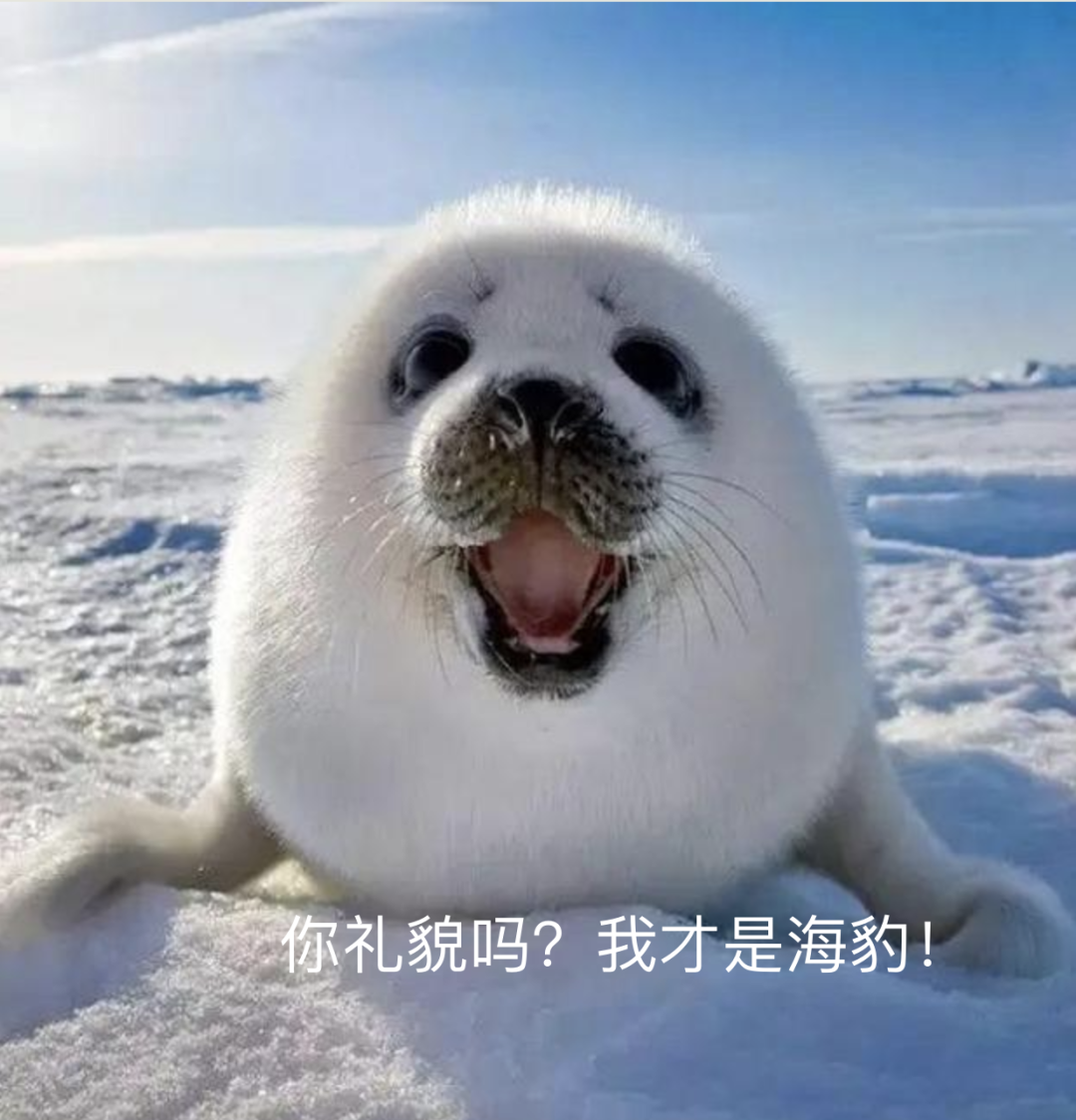 安省警局：这种2刀硬币是假的！这也假的太不走心了吧....