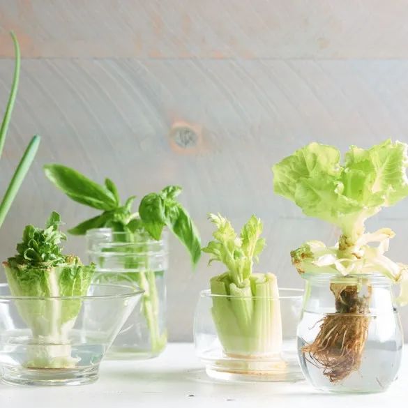 沃尔玛的大米没抢着？这几家超市也有特价大米！