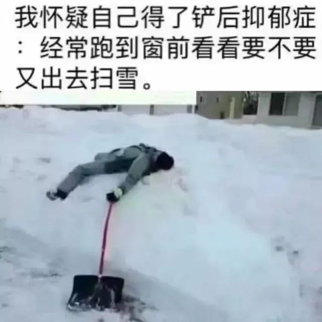 60厘米暴雪封城！铲雪铲到心梗！人工铲雪小贴士+各区铲雪车查询何时到家门口