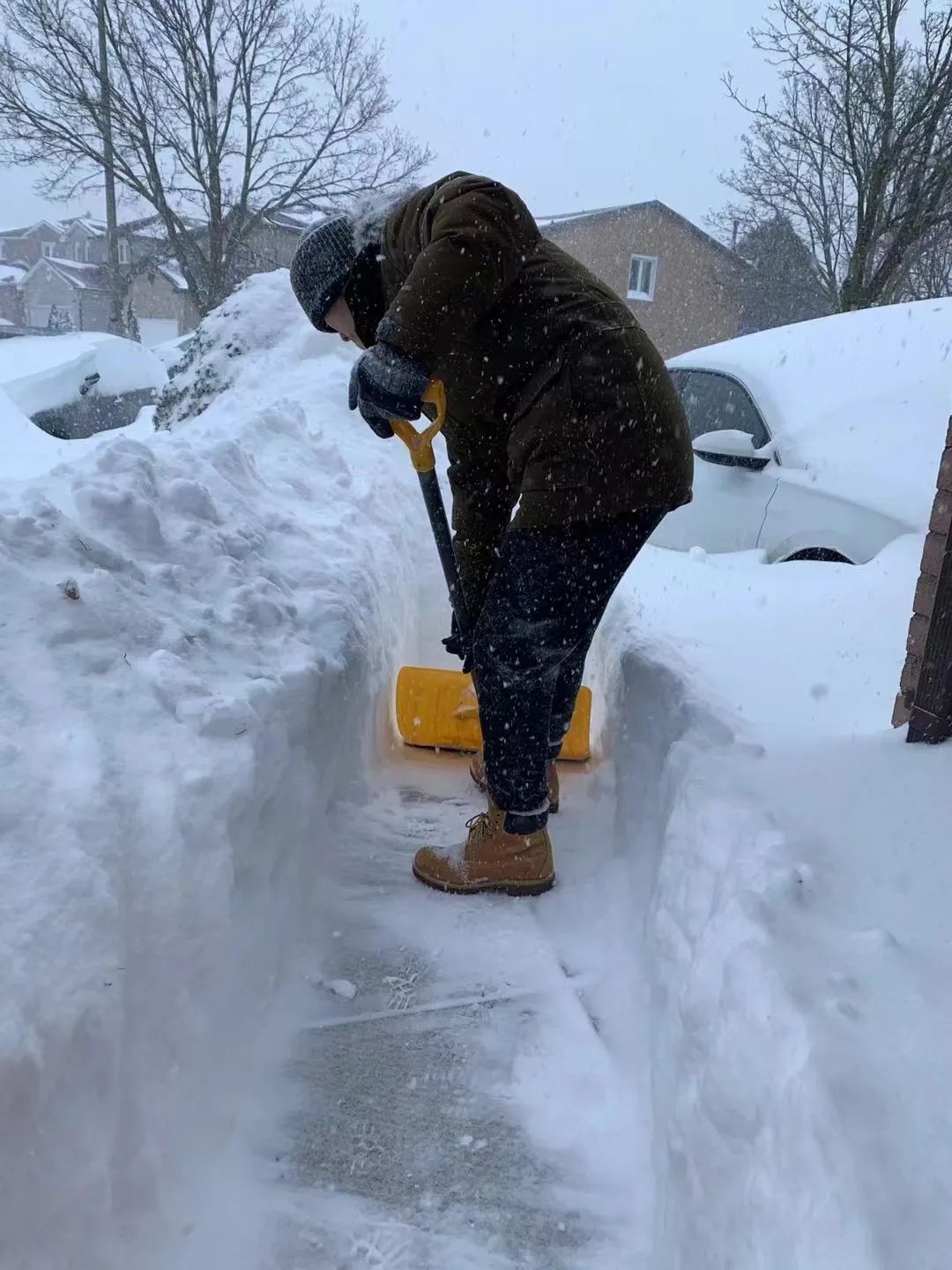 60厘米暴雪封城！铲雪铲到心梗！人工铲雪小贴士+各区铲雪车查询何时到家门口