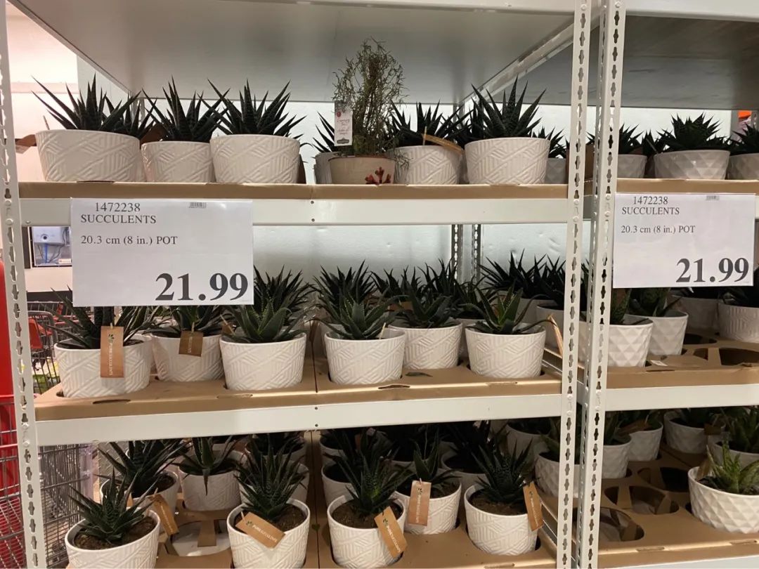 Costco本周门店实拍：2022财源滚滚，我已经完成了四分之三