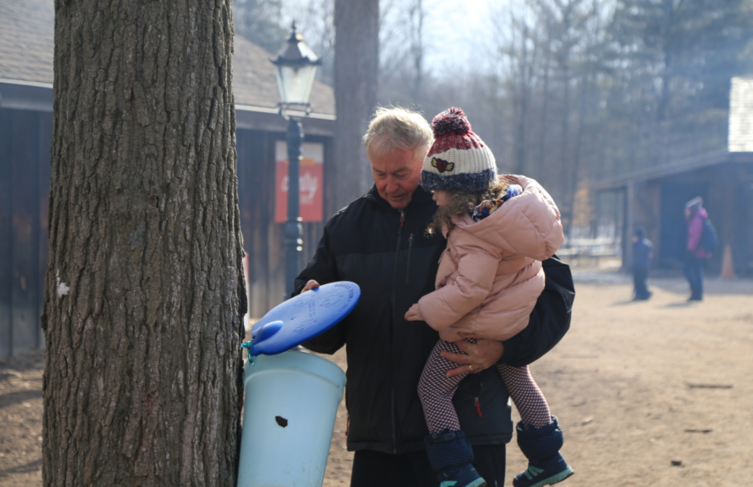 熬糖浆、做棒棒糖、看小动物:盘一盘多伦多周边今年开放的枫糖节 熬糖浆、做棒棒糖、看小动物:盘一盘多伦多周边今年开放的枫糖节