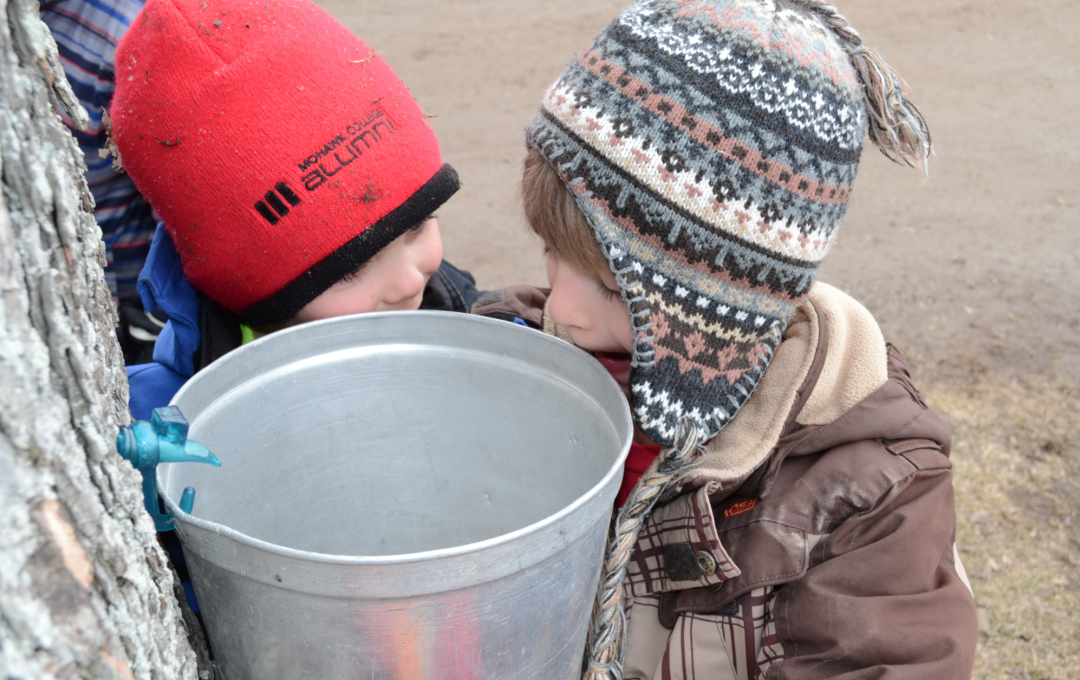 熬糖浆、做棒棒糖、看小动物:盘一盘多伦多周边今年开放的枫糖节 熬糖浆、做棒棒糖、看小动物:盘一盘多伦多周边今年开放的枫糖节
