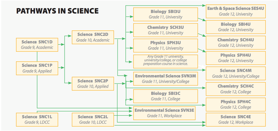网课成必修？安省中学毕业要求更新，选课密码提前了解一下！