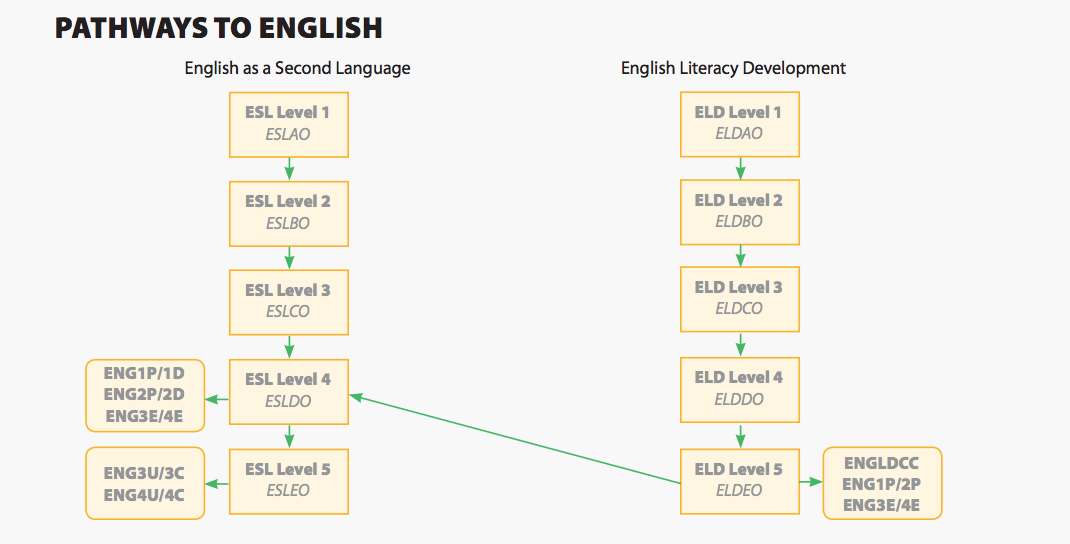 网课成必修？安省中学毕业要求更新，选课密码提前了解一下！