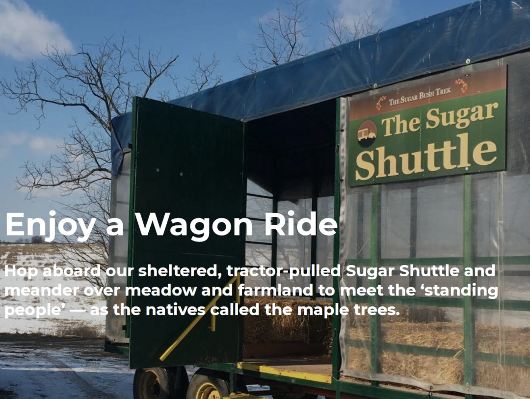 熬糖浆、做棒棒糖、看小动物:盘一盘多伦多周边今年开放的枫糖节 熬糖浆、做棒棒糖、看小动物:盘一盘多伦多周边今年开放的枫糖节