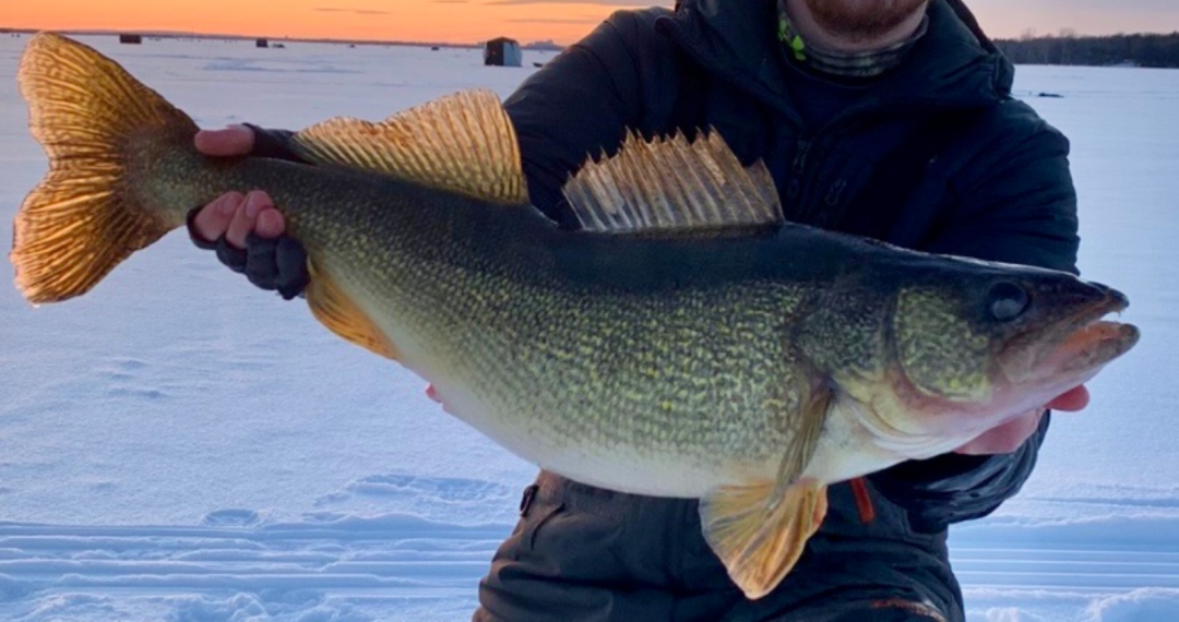 【免鱼牌钓鱼日】安省冰钓好去处盘点,附申领免费指南传送门 【免鱼牌钓鱼日】安省冰钓好去处盘点,附申领免费指南传送门