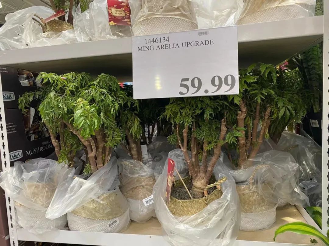 Costco门店实拍：生活中夫妻的争吵，真的都是女人的错吗？