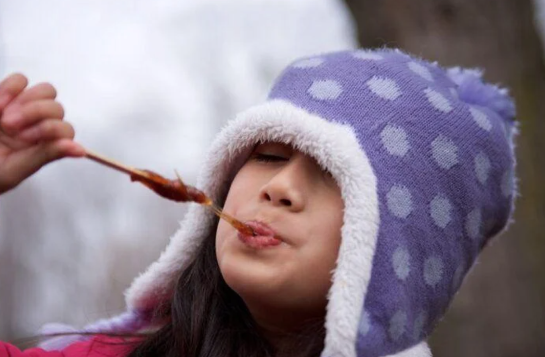 熬糖浆、做棒棒糖、看小动物:盘一盘多伦多周边今年开放的枫糖节 熬糖浆、做棒棒糖、看小动物:盘一盘多伦多周边今年开放的枫糖节