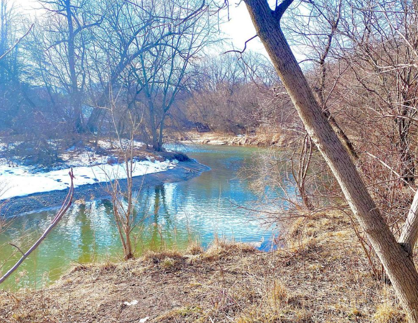 春日踏青目的地：盘点多伦多周边12个栈道公园