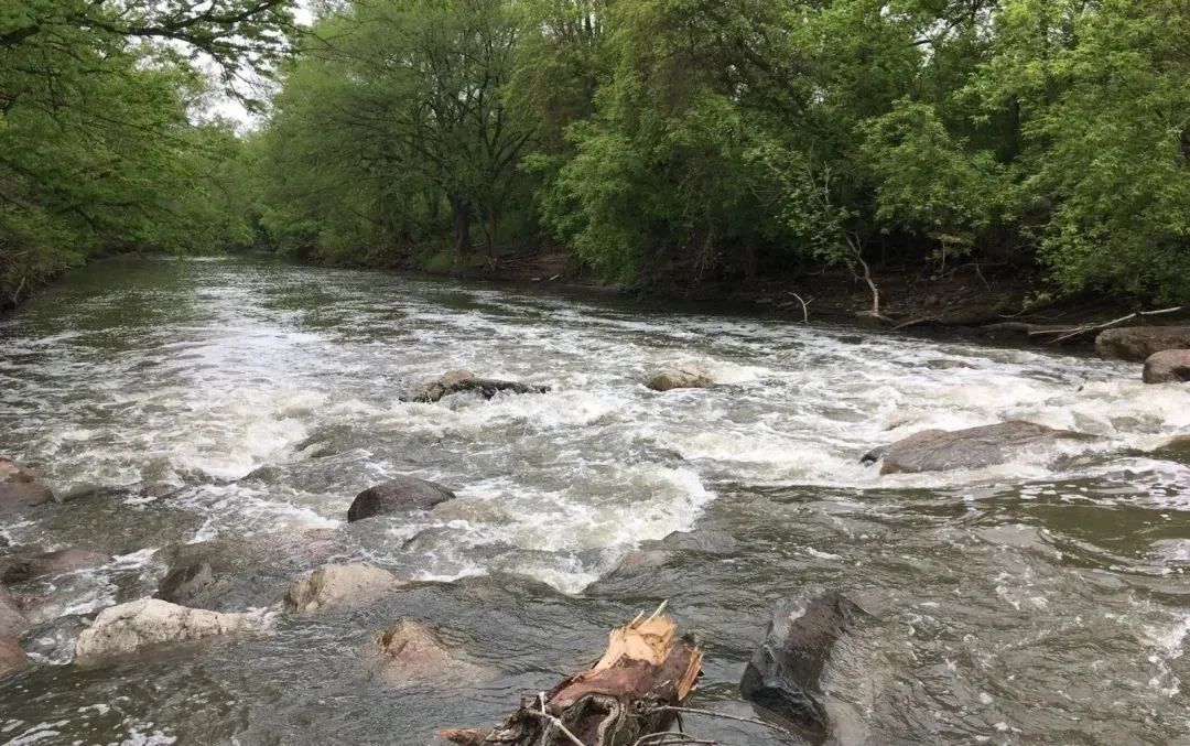 春日踏青目的地：盘点多伦多周边12个栈道公园
