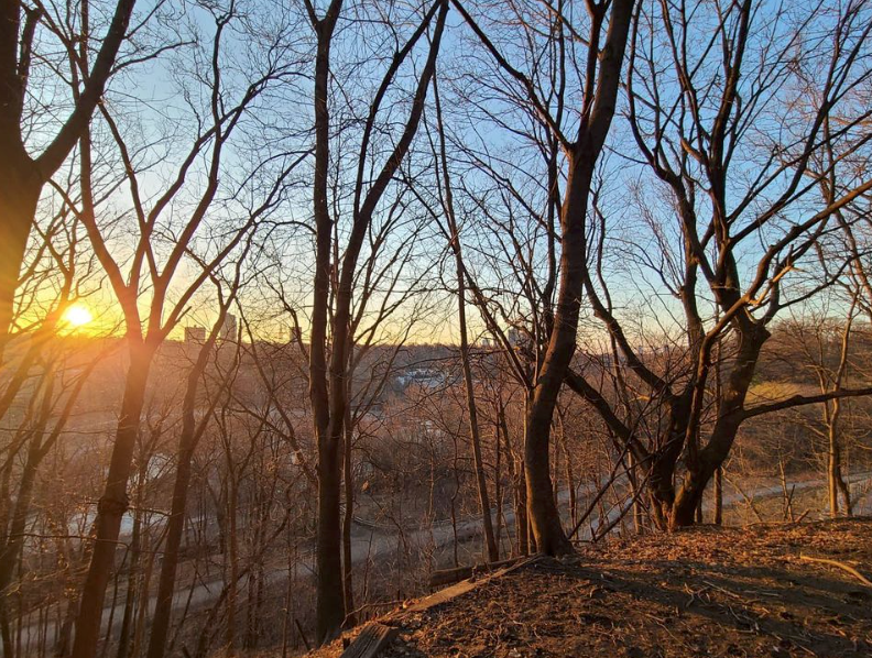 春日踏青目的地：盘点多伦多周边12个栈道公园