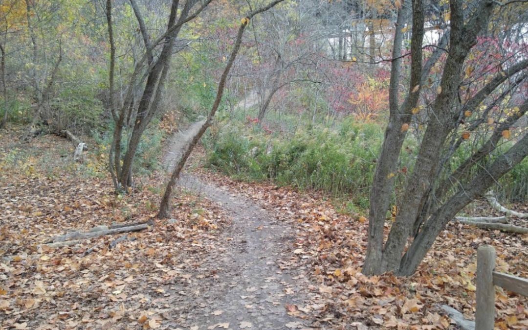 春日踏青目的地：盘点多伦多周边12个栈道公园