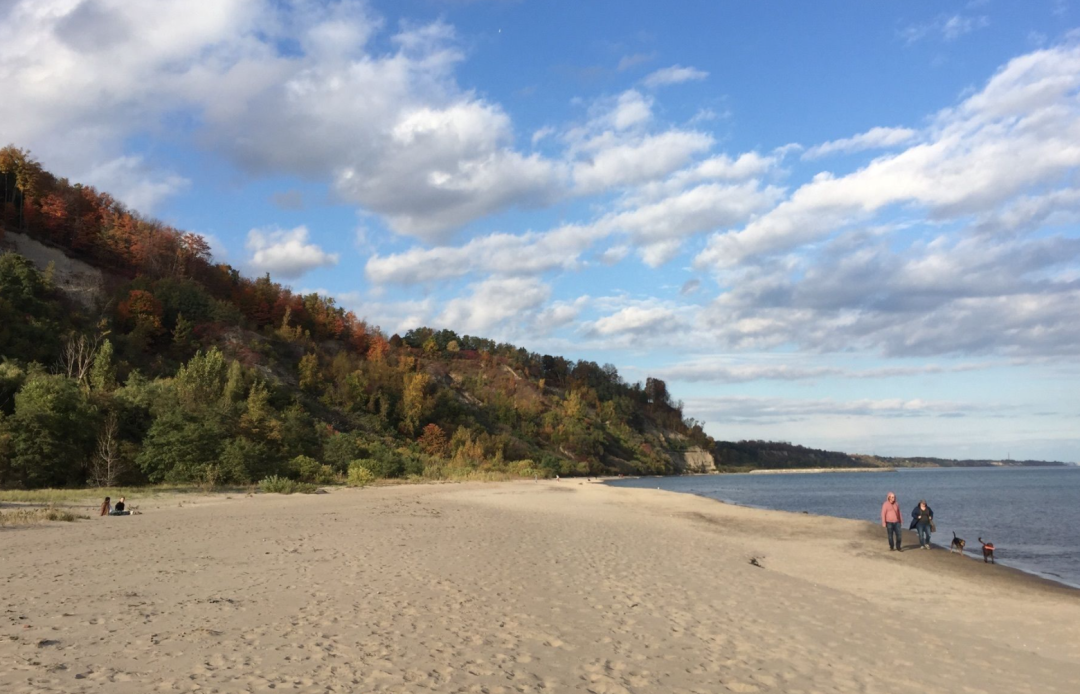 春日踏青目的地：盘点多伦多周边12个栈道公园