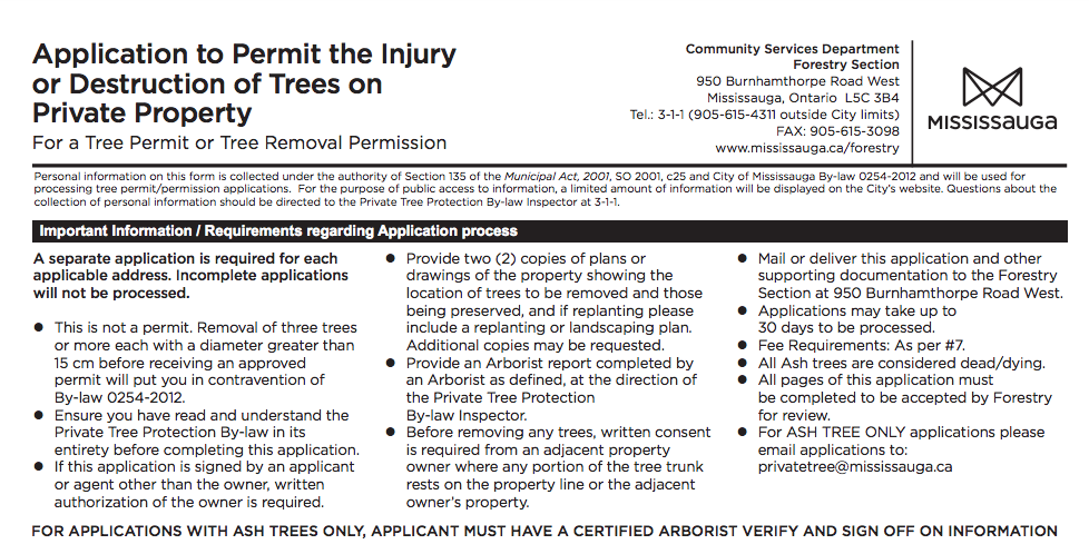 砍自家树被罚$4500？在加拿大想当“光头强”砍树得懂这些....