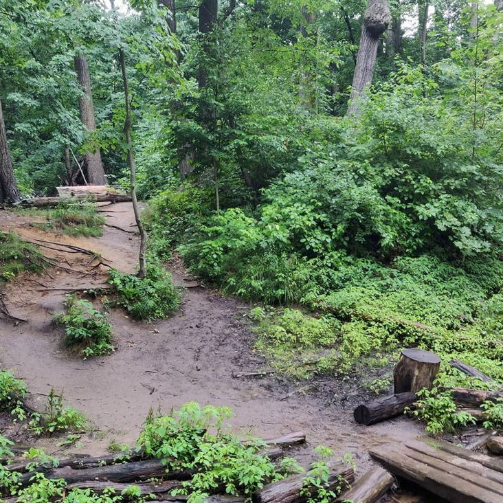 春日踏青目的地：盘点多伦多周边12个栈道公园