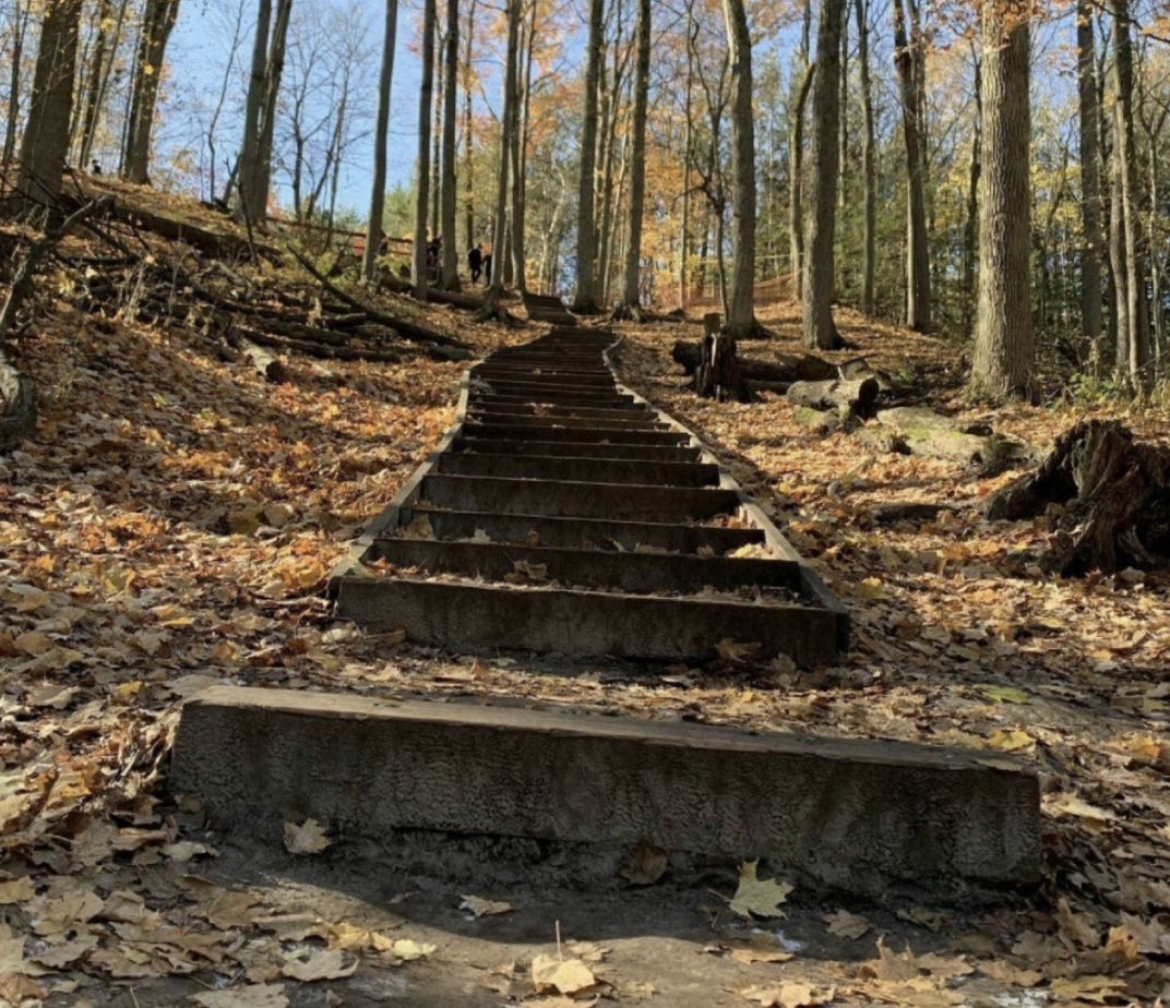 春日踏青目的地：盘点多伦多周边12个栈道公园