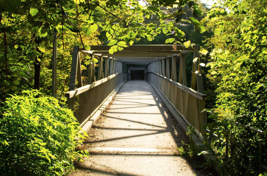 春日踏青目的地：盘点多伦多周边12个栈道公园