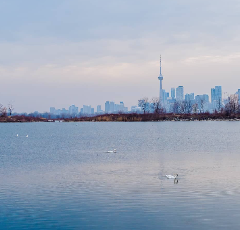 春日踏青目的地：盘点多伦多周边12个栈道公园