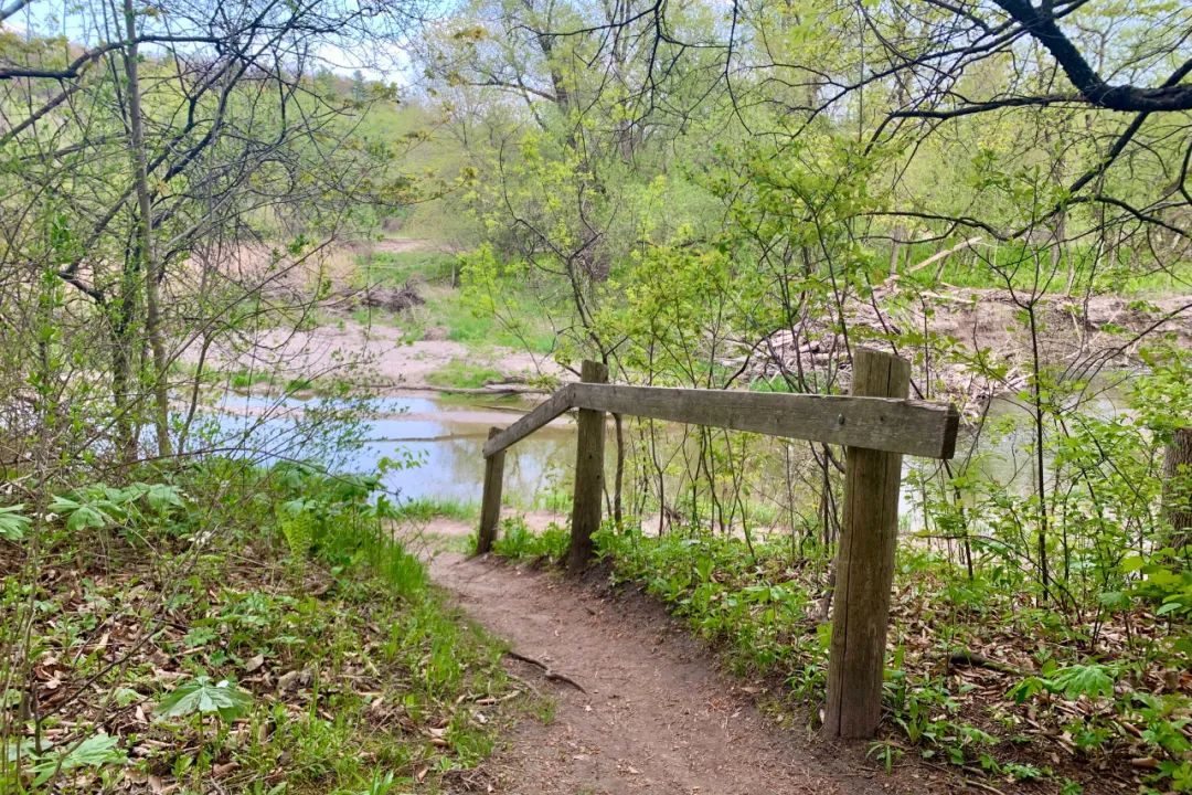 春日踏青目的地：盘点多伦多周边12个栈道公园