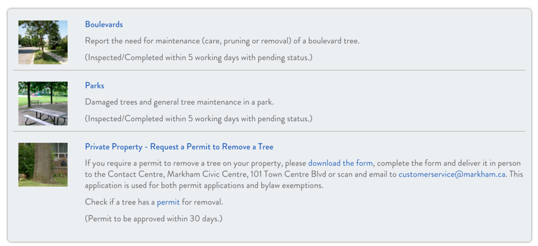 砍自家树被罚$4500？在加拿大想当“光头强”砍树得懂这些....