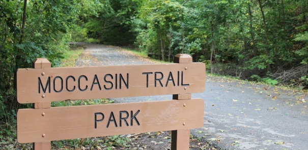 春日踏青目的地：盘点多伦多周边12个栈道公园