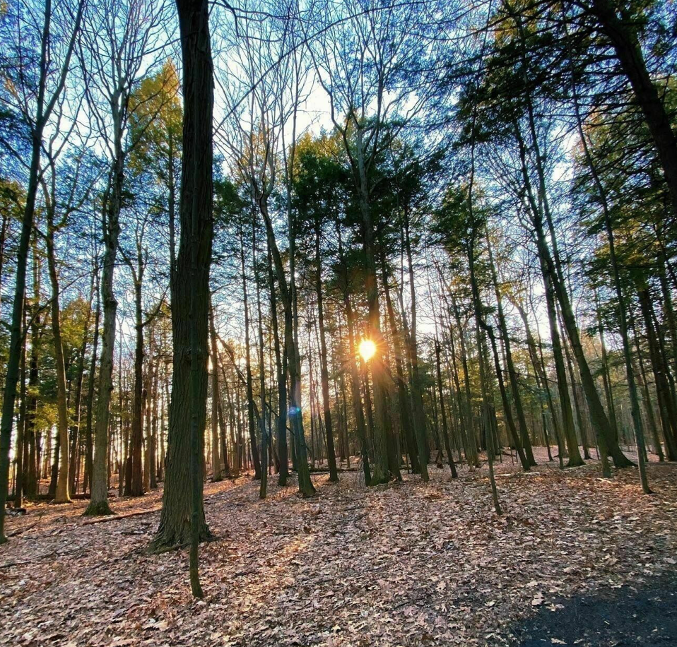 春日踏青目的地：盘点多伦多周边12个栈道公园