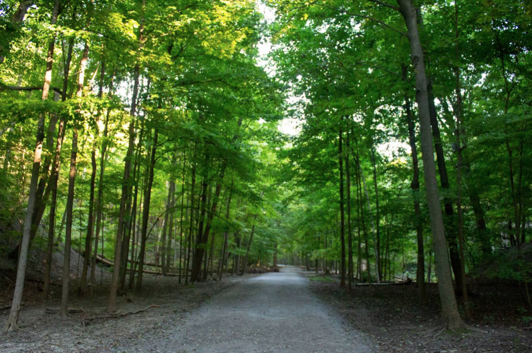 春日踏青目的地：盘点多伦多周边12个栈道公园