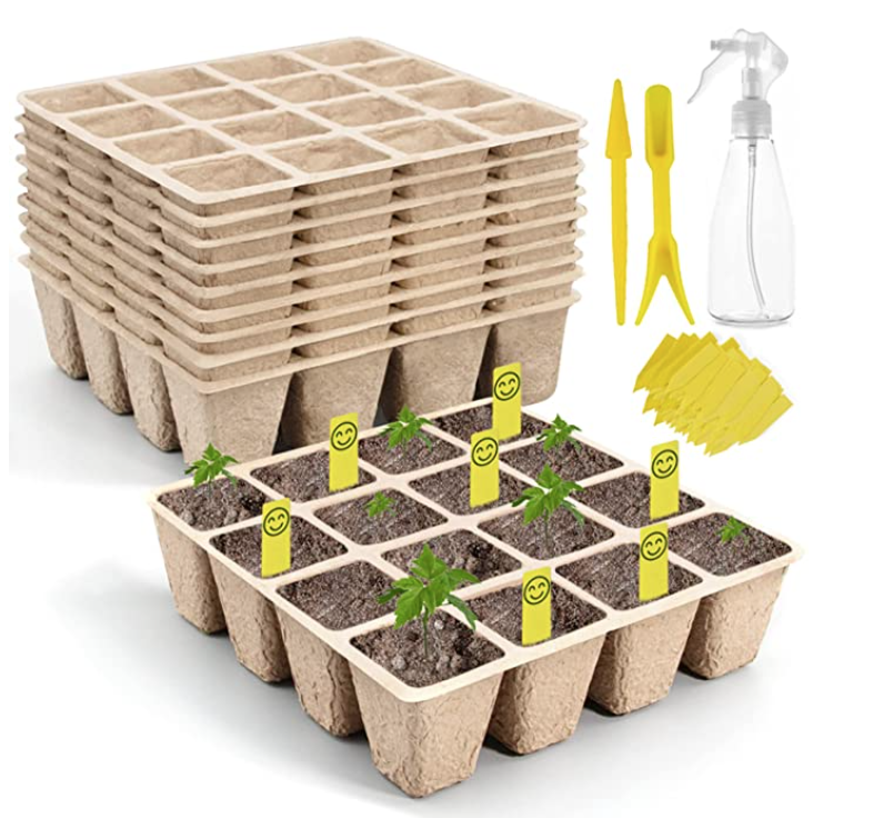 血脉觉醒！族裔天赋！种菜要育苗：各种蔬菜瓜果育苗时间表