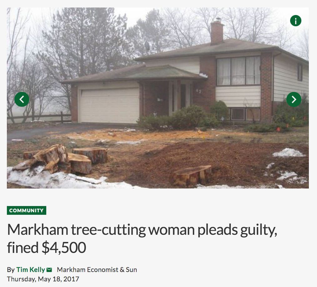 砍自家树被罚$4500？在加拿大想当“光头强”砍树得懂这些....