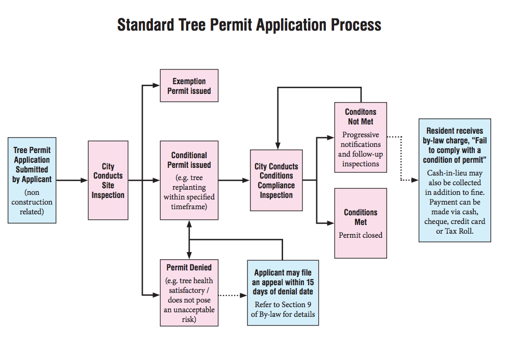 砍自家树被罚$4500？在加拿大想当“光头强”砍树得懂这些....