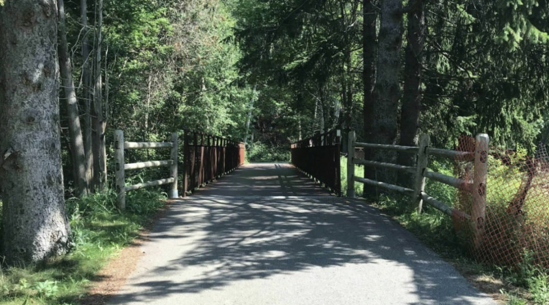 春日踏青目的地：盘点多伦多周边12个栈道公园