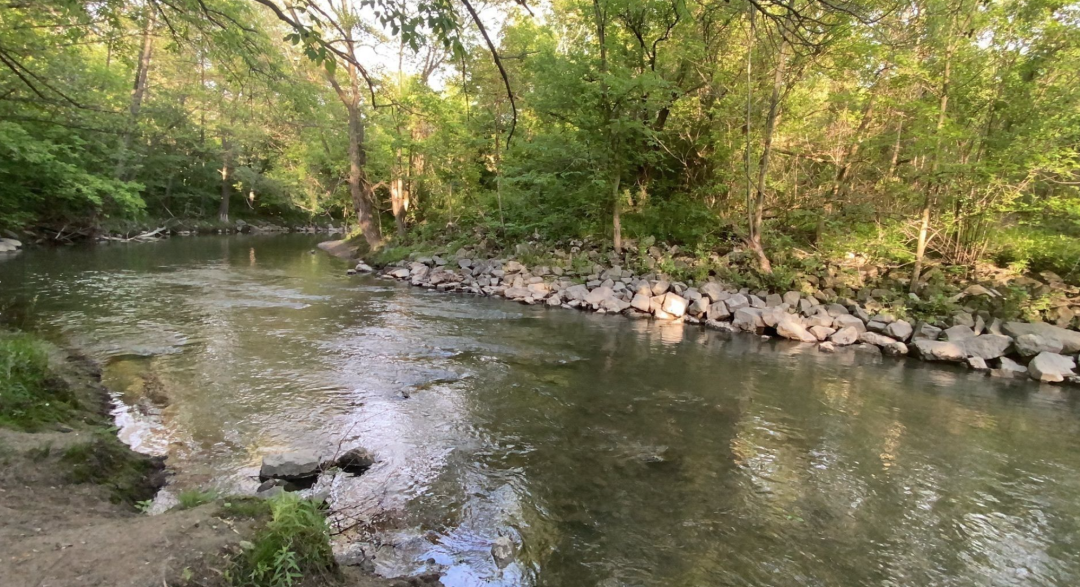 春日踏青目的地：盘点多伦多周边12个栈道公园