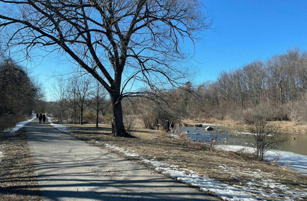 春日踏青目的地：盘点多伦多周边12个栈道公园