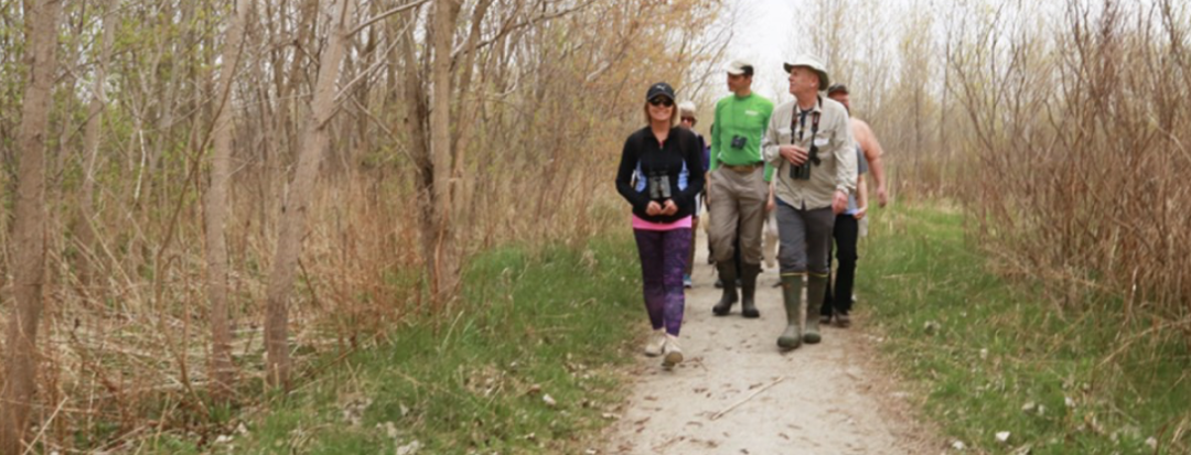 春日踏青目的地：盘点多伦多周边12个栈道公园