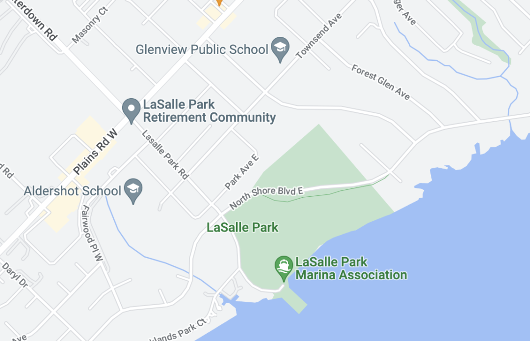 实拍打卡Burlington网红“天鹅湖”：除了嘎嘎嘎，还有鹅粑粑