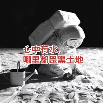 血脉觉醒！族裔天赋！种菜要育苗：各种蔬菜瓜果育苗时间表