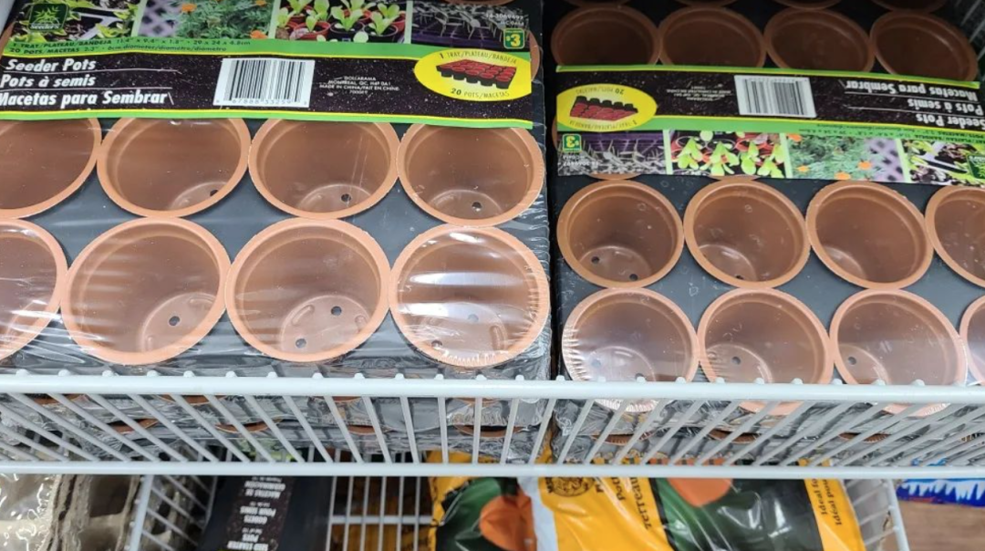 血脉觉醒！族裔天赋！种菜要育苗：各种蔬菜瓜果育苗时间表