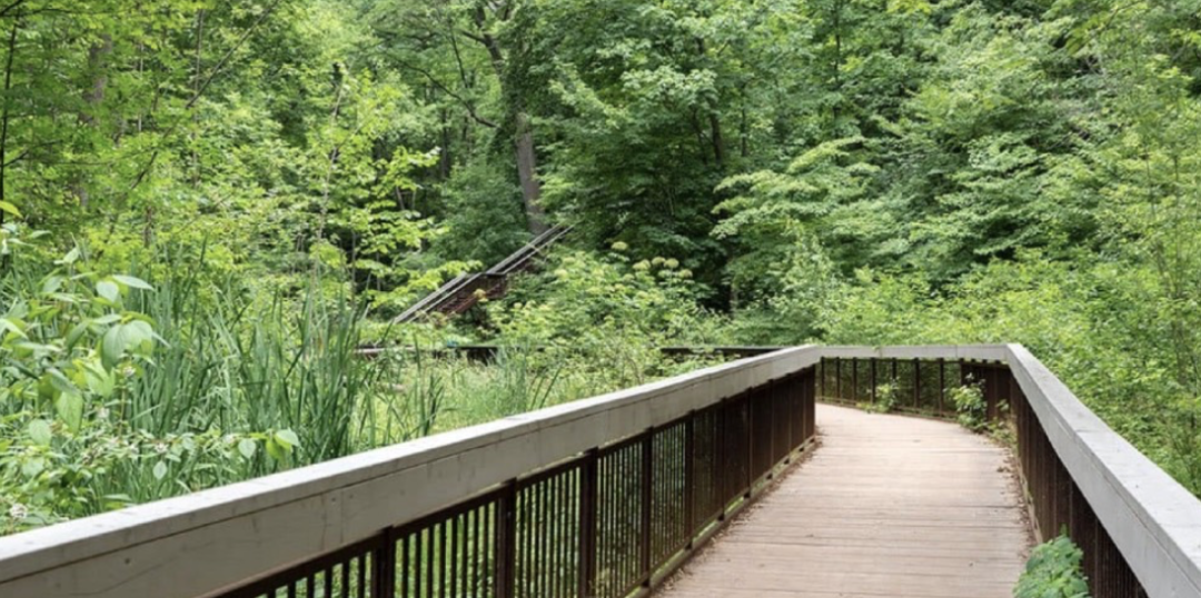春日踏青目的地：盘点多伦多周边12个栈道公园