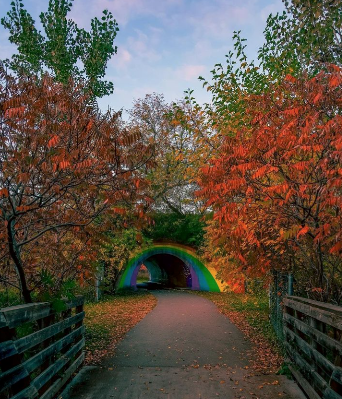 春日踏青目的地：盘点多伦多周边12个栈道公园