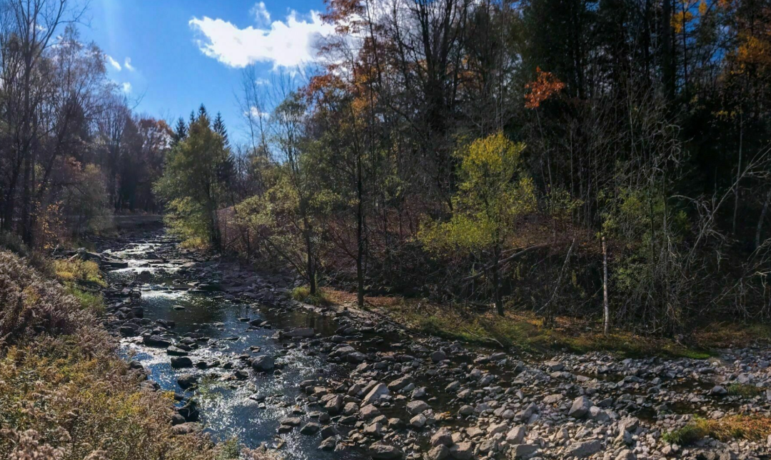 春日踏青目的地：盘点多伦多周边12个栈道公园