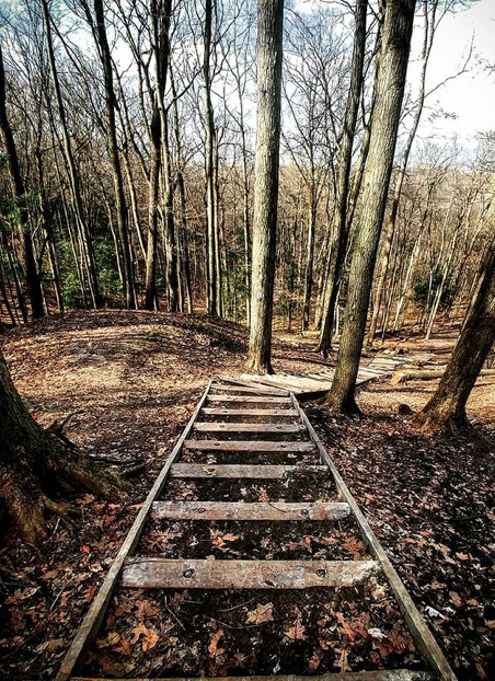 春日踏青目的地：盘点多伦多周边12个栈道公园