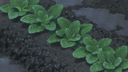 血脉觉醒！族裔天赋！种菜要育苗：各种蔬菜瓜果育苗时间表