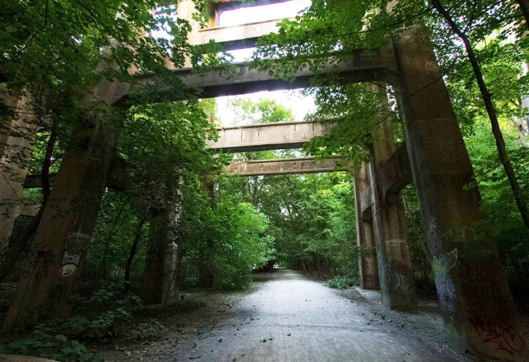 春日踏青目的地：盘点多伦多周边12个栈道公园